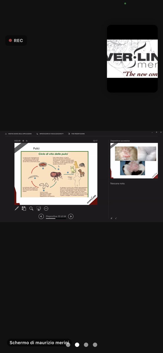 Overline Academy allievi durante la lezione in cosmetologia a cura del Dottore Maurizio Merini@overlineschool #overlineacademy #nellyoliva #overline #eccellenzaitaliana #scuoladitoelettatura #corsoditoelettatura #corsocertificato #overlineschool #toelettaturacani