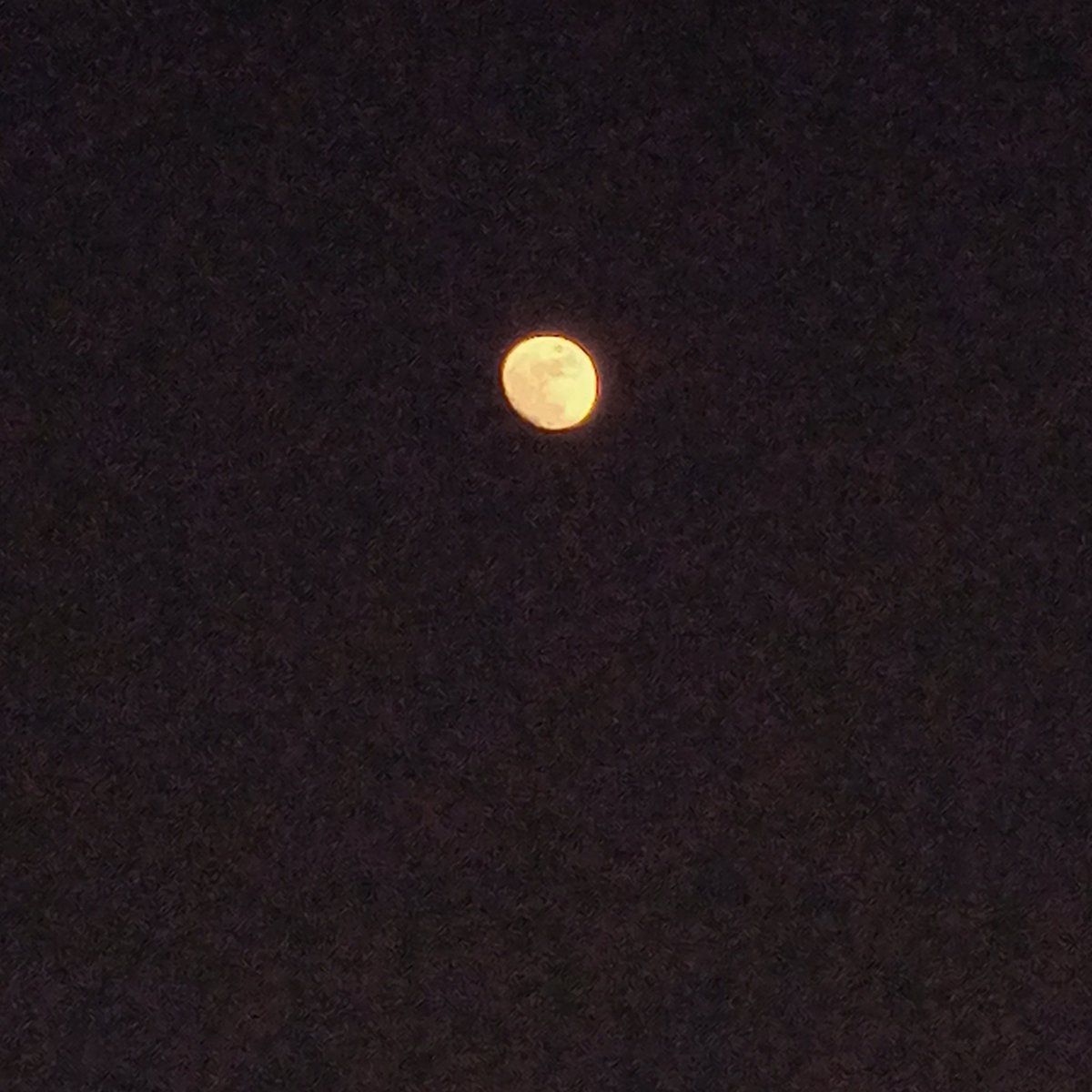 Dicen que el sol ve tu cuerpo
Pero solo la luna ve tu alma🌕