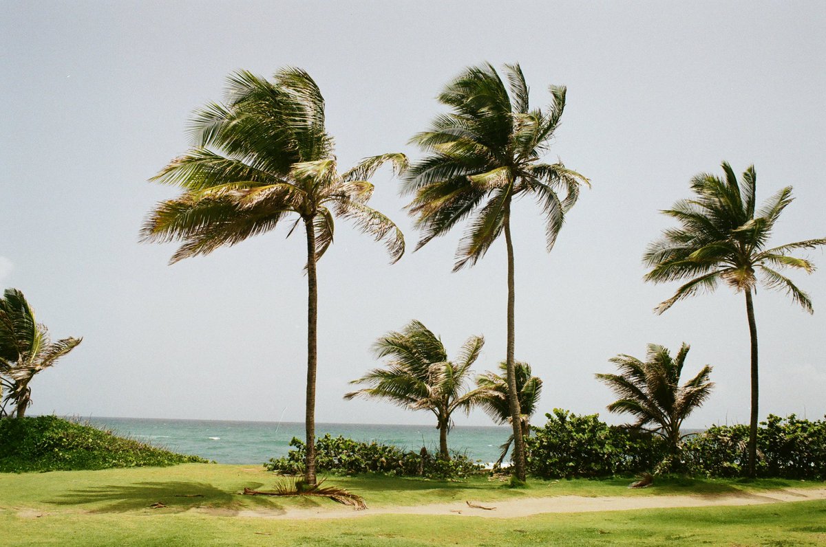 BornNigerican's tweet image. Haven’t done this in a while. Fotos from this summer