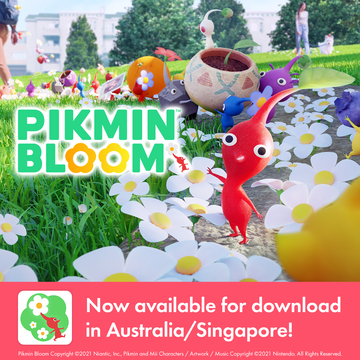 LLL Australia - APK Download for Android