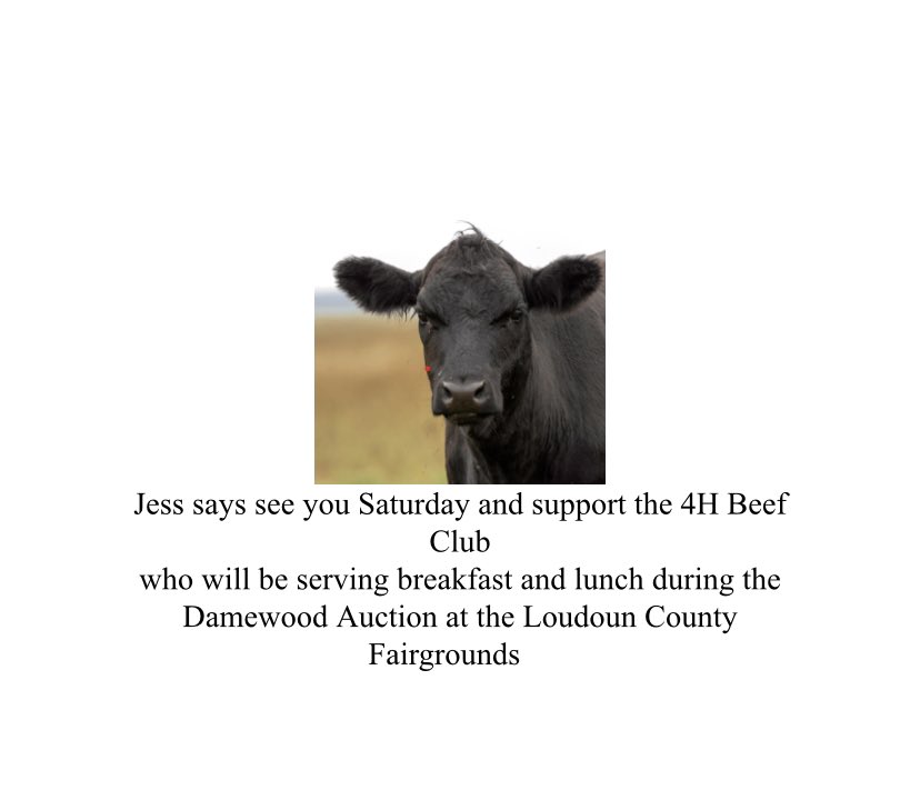 Loudoun County Fair tweet media