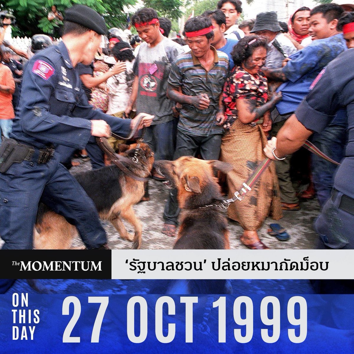 The Momentum tweet media