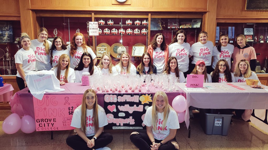 Supporting our friends on the volleyball team tonight! Dig Pink Game.
#wolverinestogether