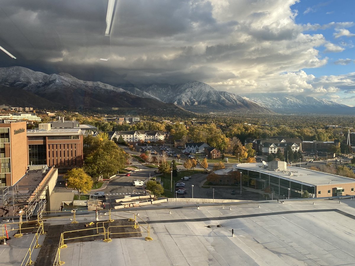 Megan Wojick MD tweet media