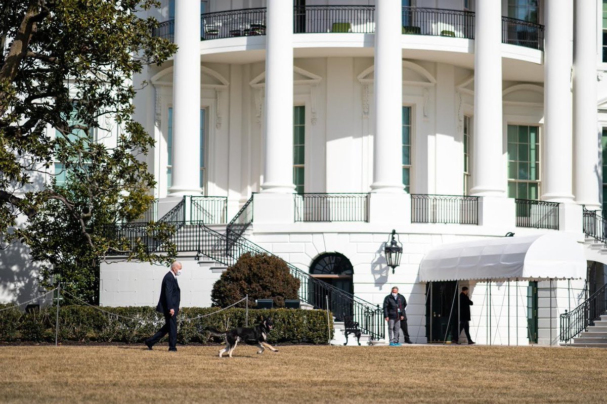 🐾 Who’s a happy pupper? I am! I’ve been having lots of fun and doing lots of zoomies on the South Lawn, playing with Poppet and enjoying long naps and yummy nom noms. And of course, lots of snuggles and ear scratches from dad <a href="/POTUS/">President Donald J. Trump</a>. Awoooof! - Major #DOTUS