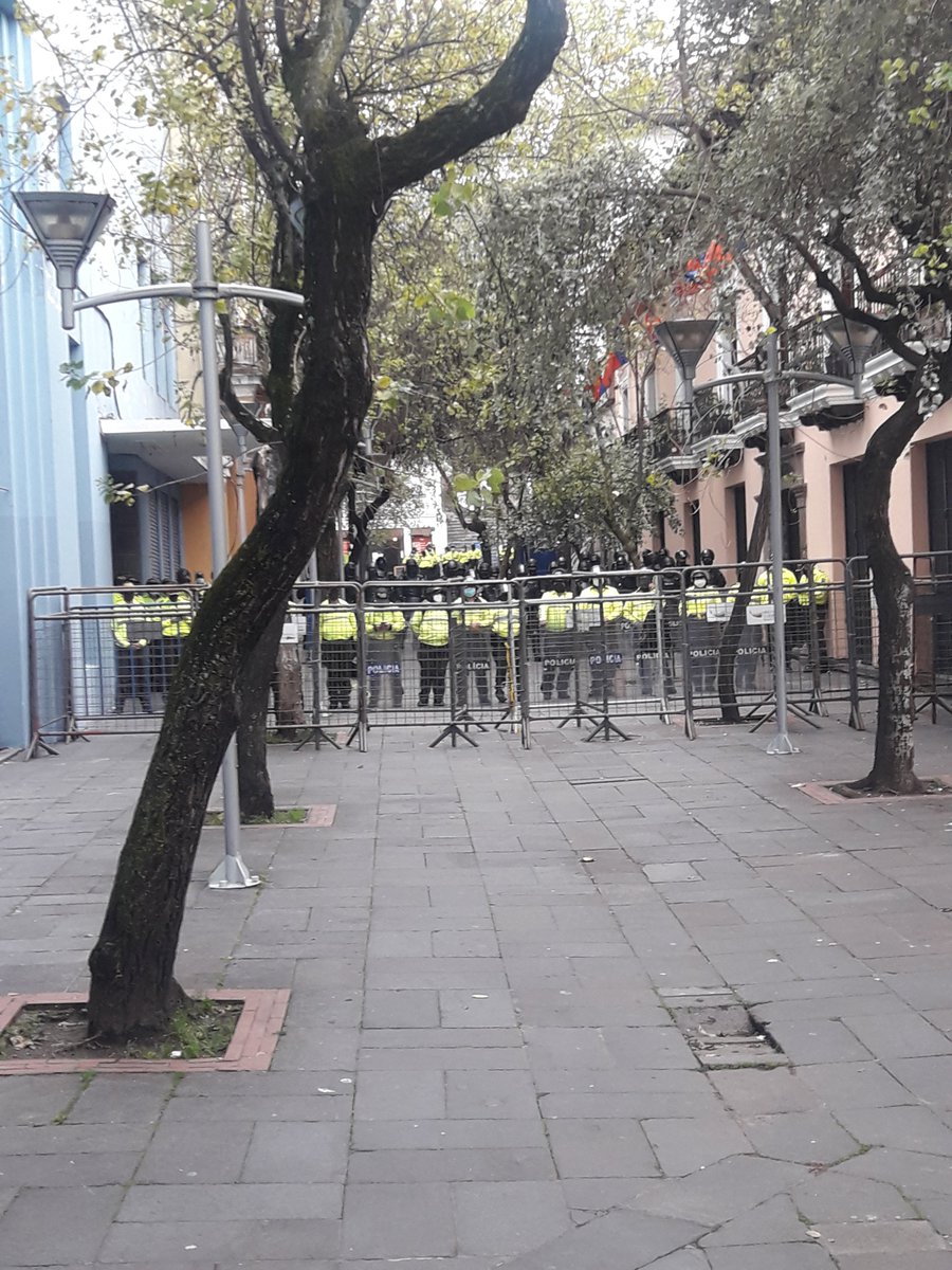 HijadelSol17's tweet photo. Pobres caballos cargando a estos animales!!! https://t.co/jYPVRBZot9