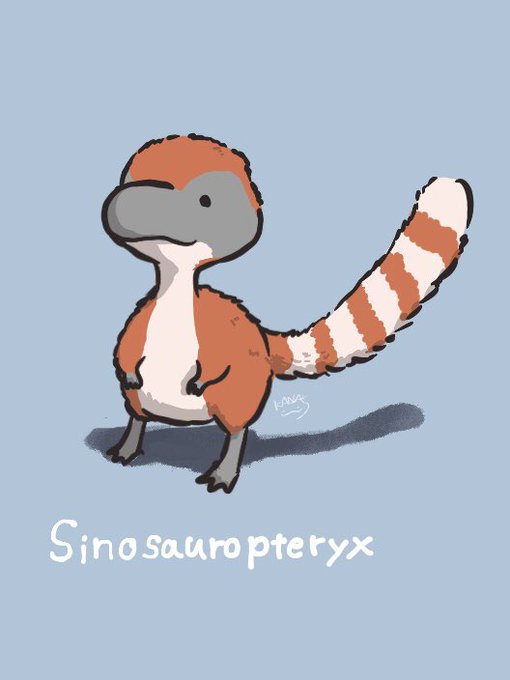 レッサーパンダのtwitterイラスト検索結果 古い順