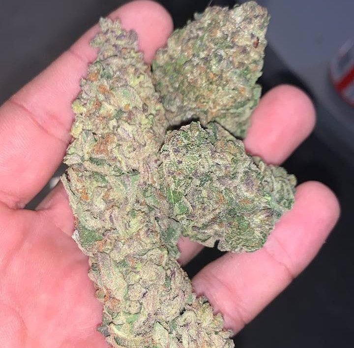 I'm the plug I got units for 17 all day and zips for 250, I'm looking for some good people you should come over to crew. Call or text +13144723035