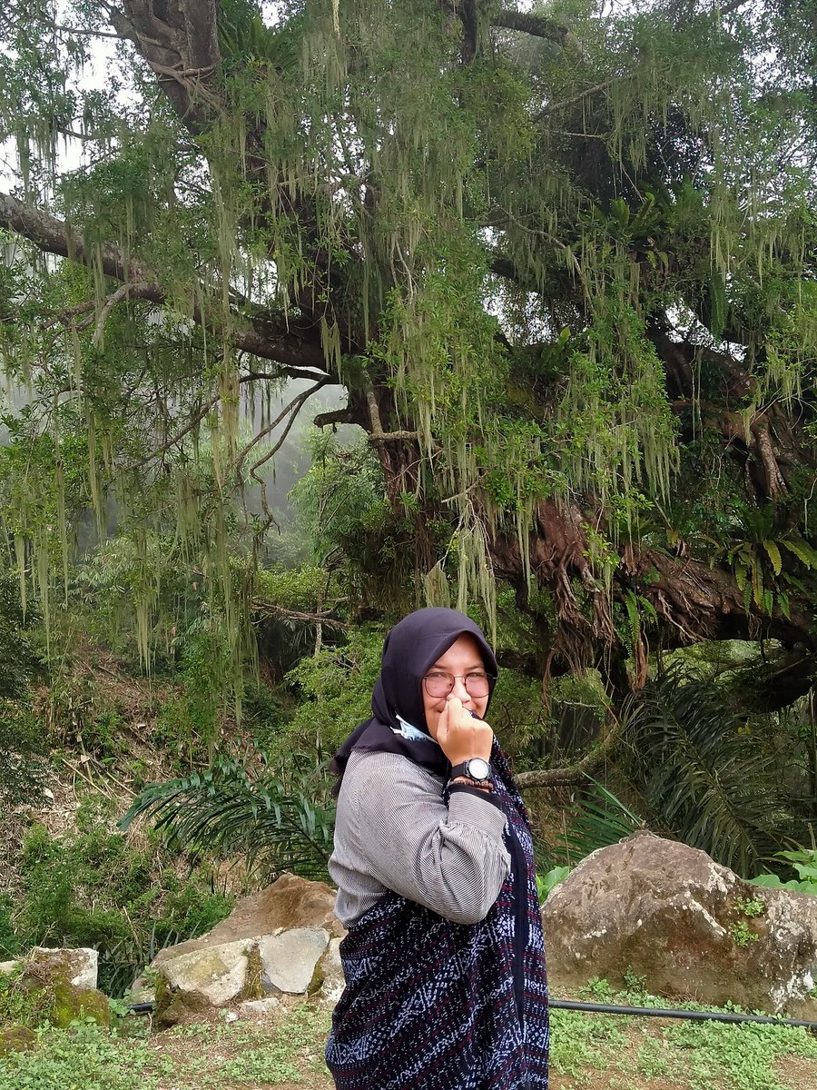 tuteh's tweet image. #Pemo
#TTWWFest