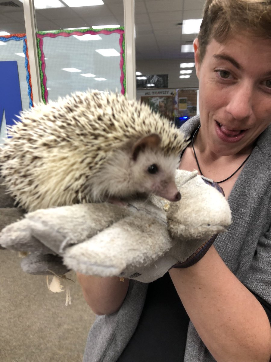 JowellScience tweet media