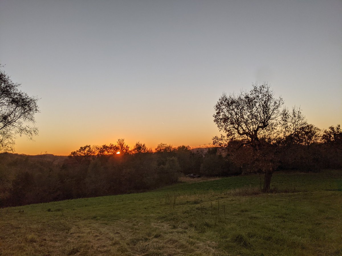 Austin Sprecher tweet media