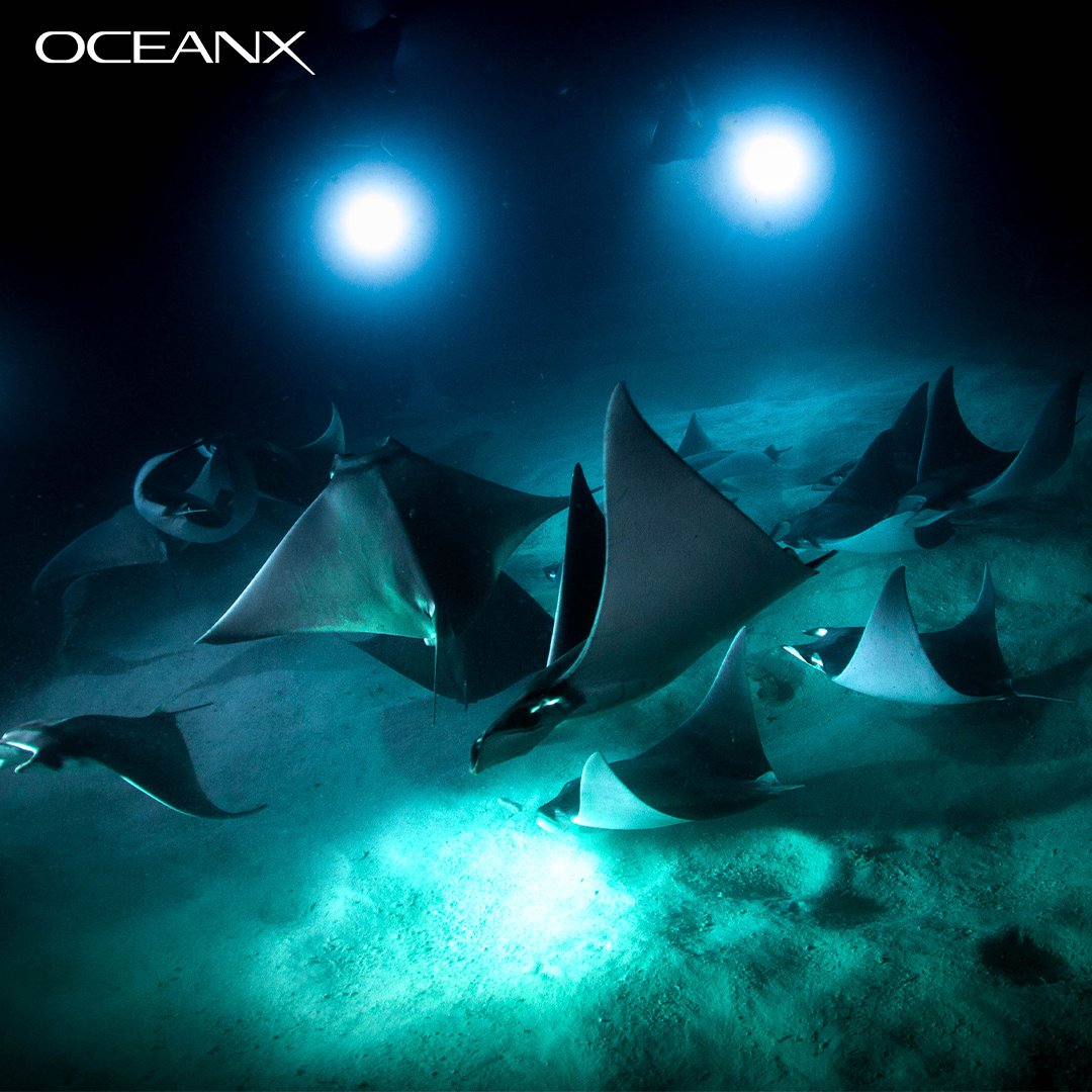 Name someone who should use this as their album cover. 👇