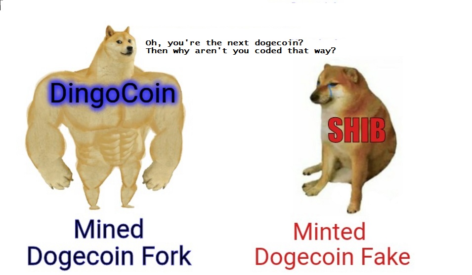 dingocoincrypto's tweet photo. #dingopack #minednotminted 
#dingocoin #dogecoin #btc #SHIB https://t.co/clWVLUVHrA