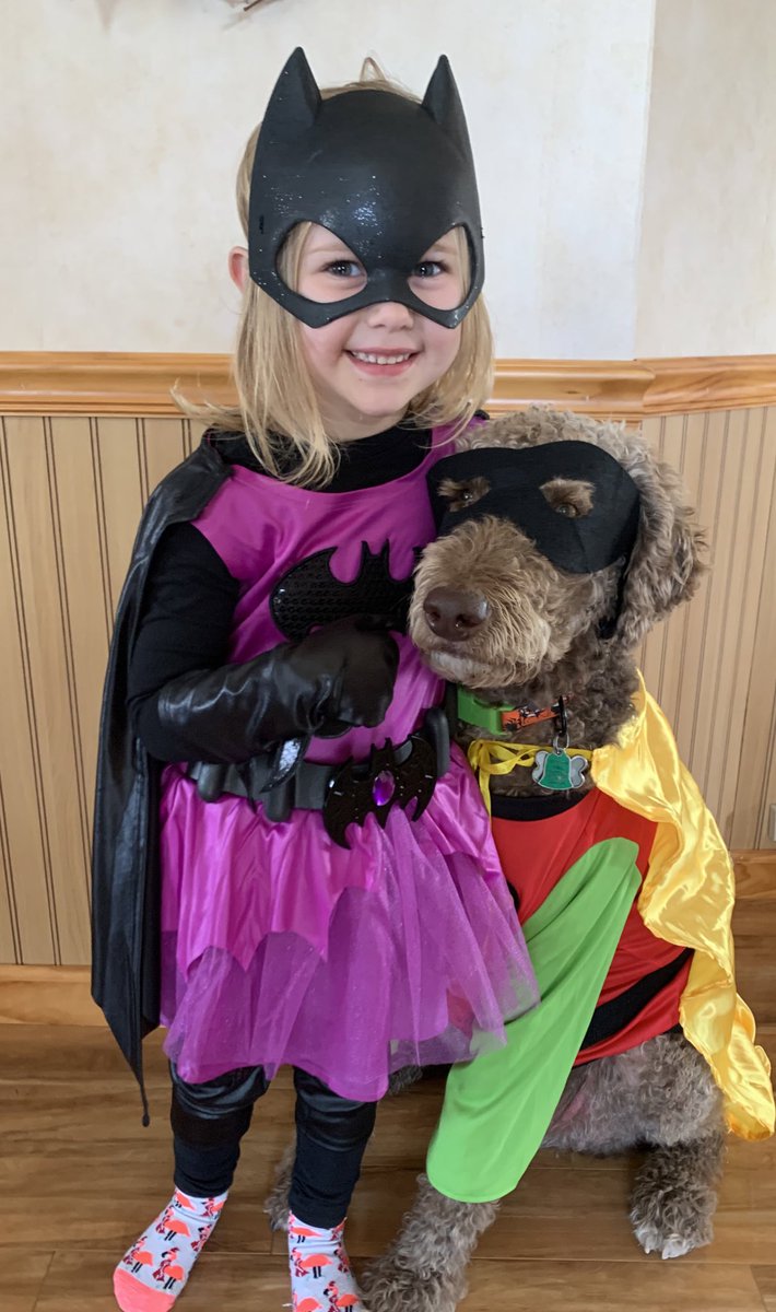 fatdogjog's tweet photo. Some #ThrowbackTuesday #Halloween content: Batgirl and her trusty sidekick, Robin! 🎃👻🦇#hairynotsoscary #superheros #amazingduo #batgirl #robin #batman #fatdogjog #dogsofturf #workfromhomedogs  #lawdogs #labradoodlesofTwitter #dogsoftwitter #doodlesofTwitter https://t.co/YeBvVNuGNU