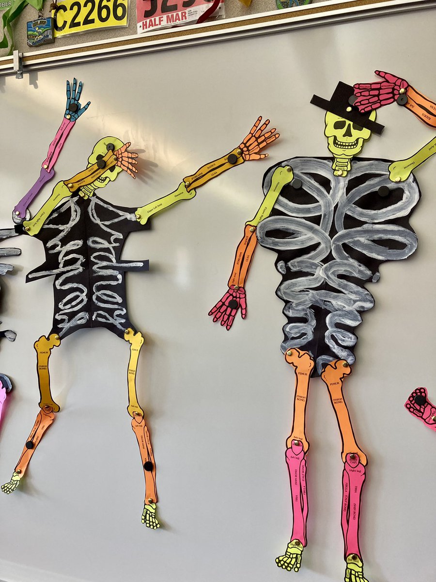 Megan Mullaly tweet media