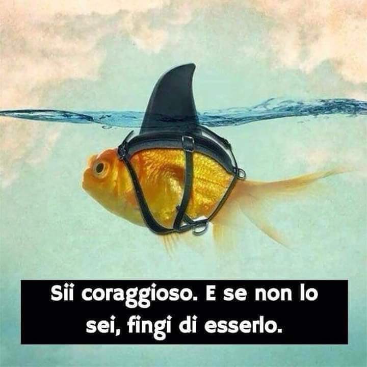Sé valiente y si no lo eres, finge serlo. La actitud lo es todo. #FrasieColori @Komzentao_art . Buon giorno a tutti. Buenos días a todos. 🌹😘