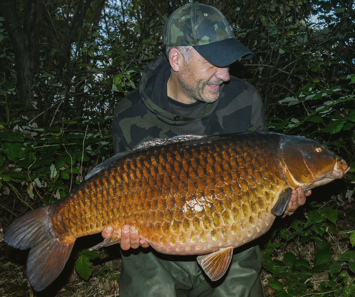 Simon Crow tweet media