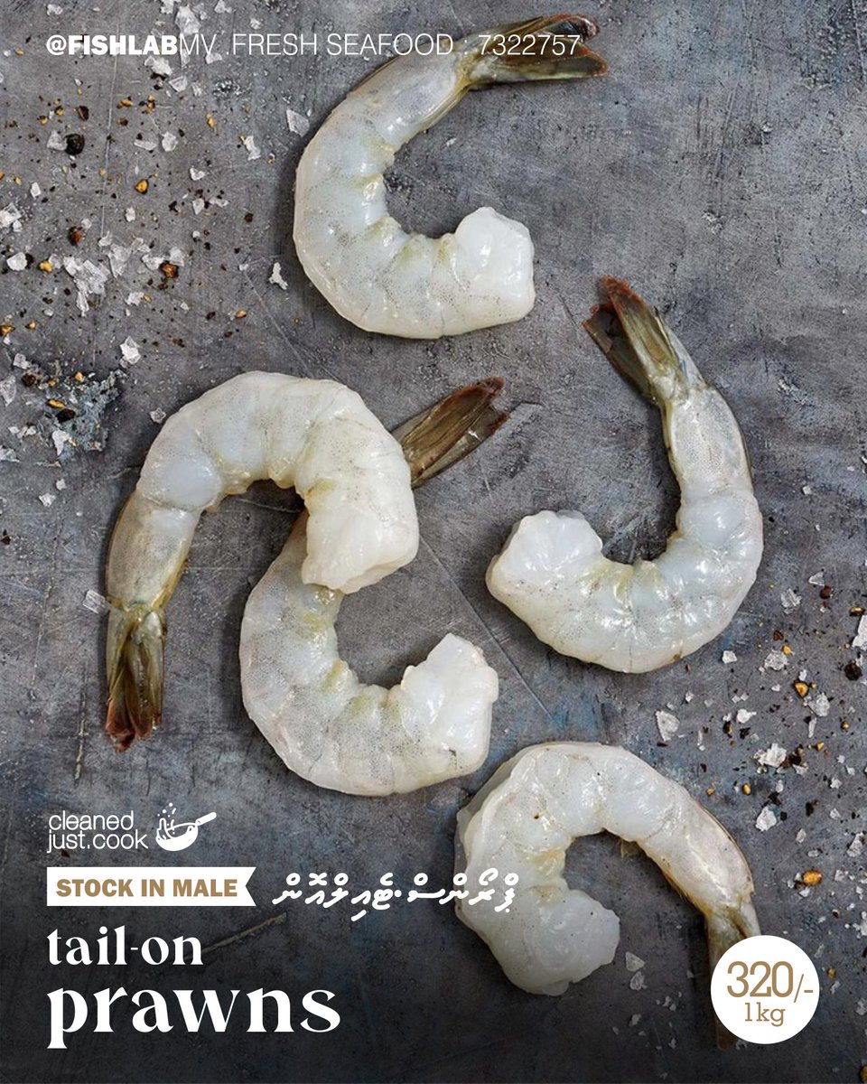 FishlabMv's tweet image. Thoshi nolhaafa ves, Nu nolhaa ves 🍤