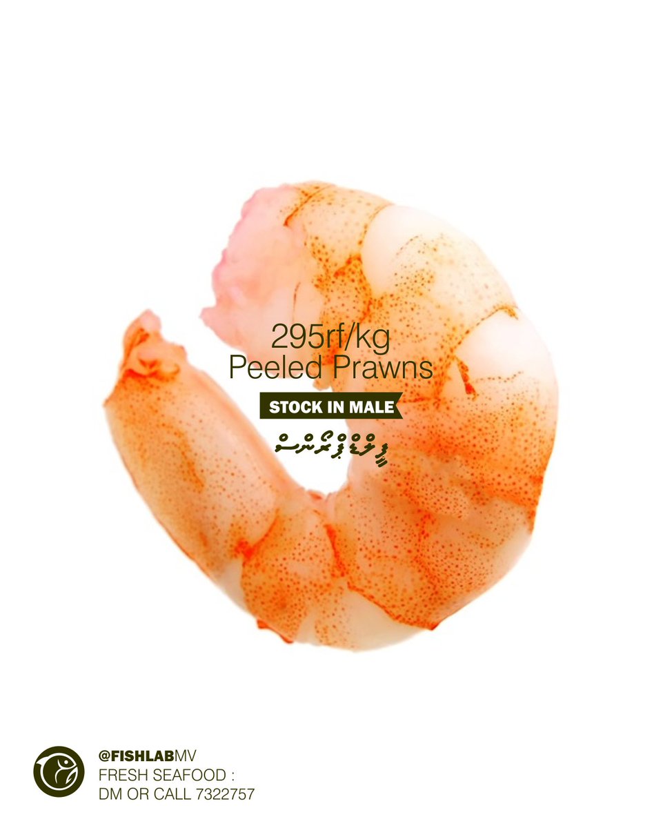 FishlabMv's tweet image. Thoshi nolhaafa ves, Nu nolhaa ves 🍤