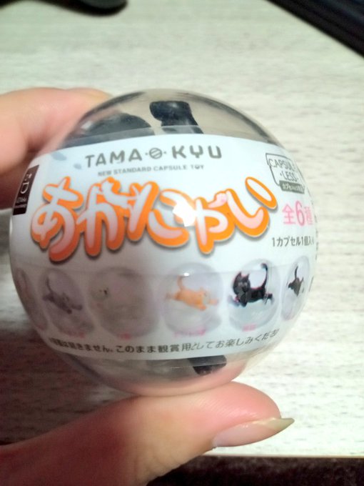 あかにゃいかわいい! 