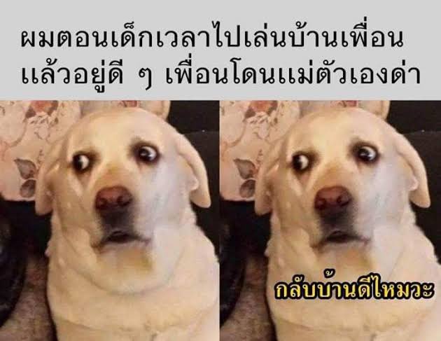 sad boy . tweet media
