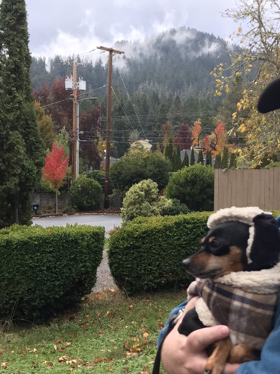 Pookie Baby tweet media