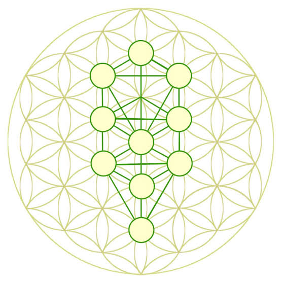 تويتر Terran 555 على تويتر Miyupoyo5 それをツリー オブ ライフと言いますが フラワー オブ ライフの中央に それは位置しています 神聖幾何学 フラワー オブ ライフの持つ意味とその効果と描き方 T Co 5ds0otq8m0 T Co