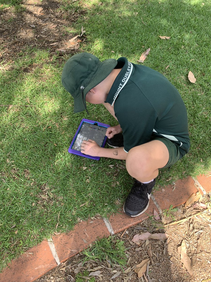 We’re so happy to be back at school. We used resources from our outdoor learning area <a href="/MountOusley/">Mount Ousley Public School</a> to demonstrate our understanding of standard and non standard place value. <a href="/tonialgray/">Tonia Gray</a> <a href="/TiffanySinton/">Tiffany Sinton</a> <a href="/RebeccaKerron/">Rebecca Kerron</a> 
#mathsoutside #outdoorlearning  #welovemaths #Apple