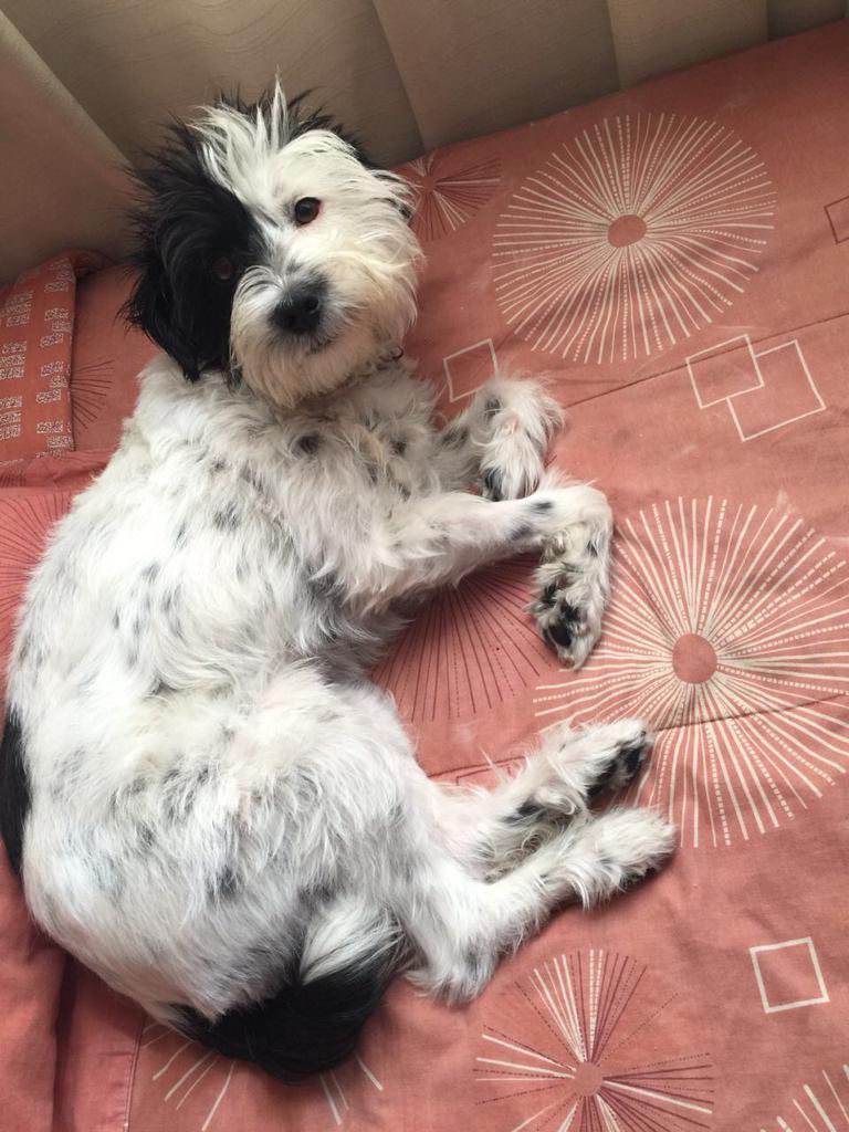 marthapauescobedo@gmail.com tweet media