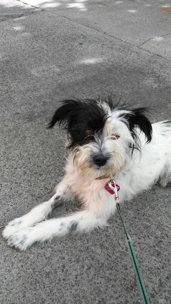 marthapauescobedo@gmail.com tweet media