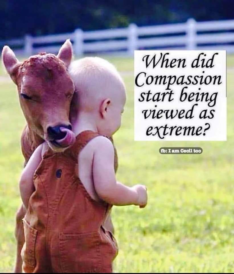 smitajs's tweet photo. Ethical vegans are extreme in compassion and kindness. Make the connection ❤💚🌿✌ #Kindness #humanity #Compassion #Vegan https://t.co/a36kzhvkek