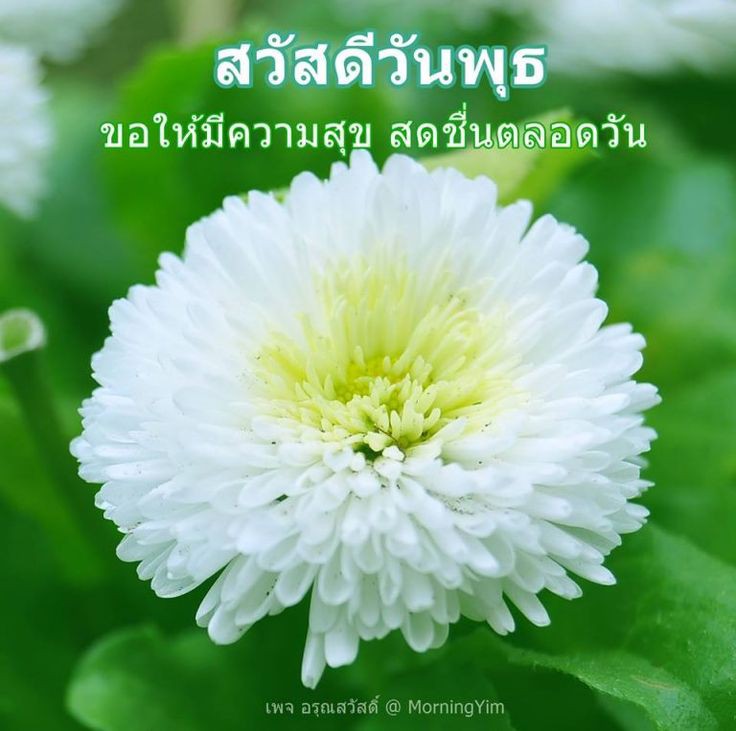 ราม นาคำไฮ (@1998ramaduel) on Twitter photo 