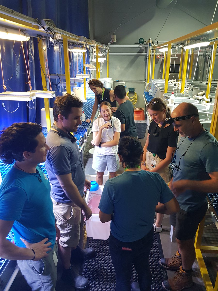 Playing "guess the number of embryos!" during last night's coral #spawnathon2021 in the <a href="/SeaSim_AIMS/">SeaSim</a> <a href="/aims_gov_au/">Australian Institute of Marine Science</a>... and the newest spawner took home the brownie!🏆 #lovemyjob
