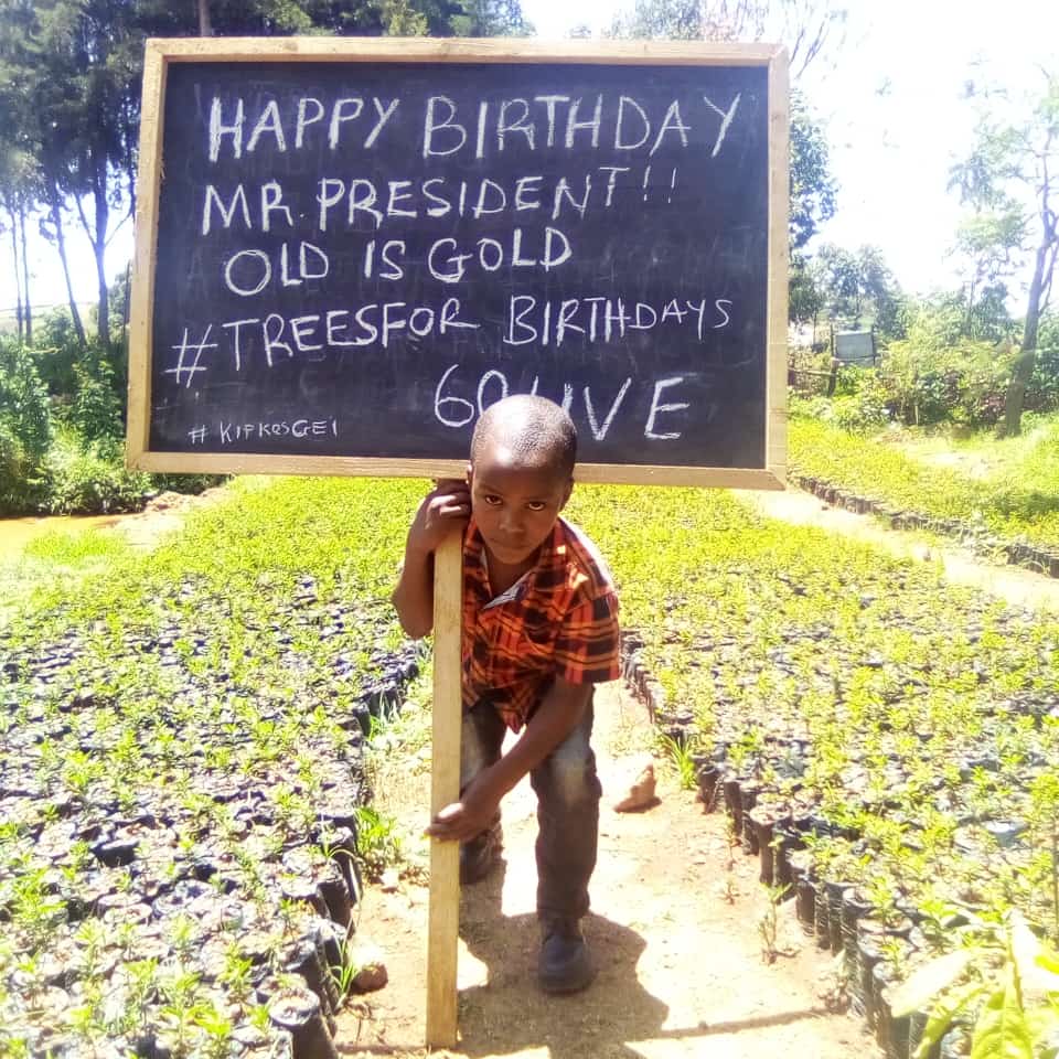 DrDennoKarim's tweet photo. Many celebrated President Kenyatta's birthday differently. This boy from Ilmotiok Narok county could not have done better.
@StateHouseKenya #TreesForBirthdays
What if every Kenyan plants a tree on their Birthday??
That will b 40m+ tress annually @WilliamsRuto
#tembeaKenya https://t.co/LxizJdy269