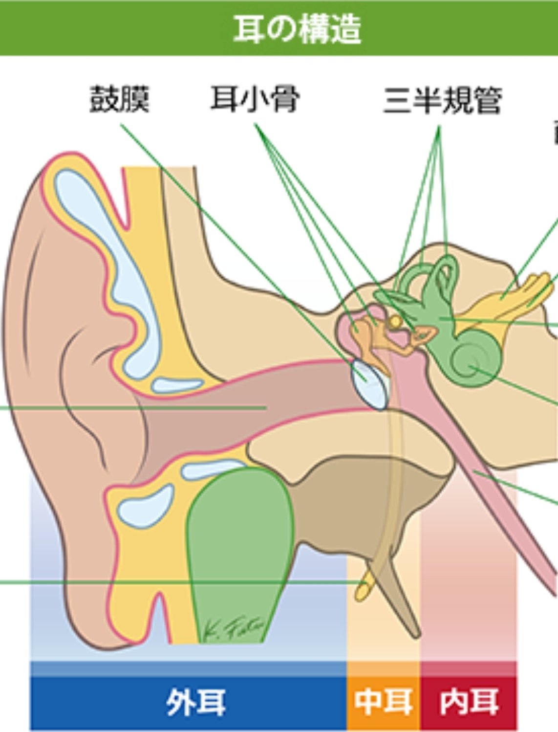 ぐっどせんせい 耳鼻咽喉科医師 聞こえますか 世の新米パパママたちよ いま あなたの心に 直接 呼びかけて います 赤ちゃんの入浴で 水が入らないように 耳をふさぐ必要は ありませんし 水が入っても 綿棒で 拭きとる必要も ありません 鼓膜という蓋が