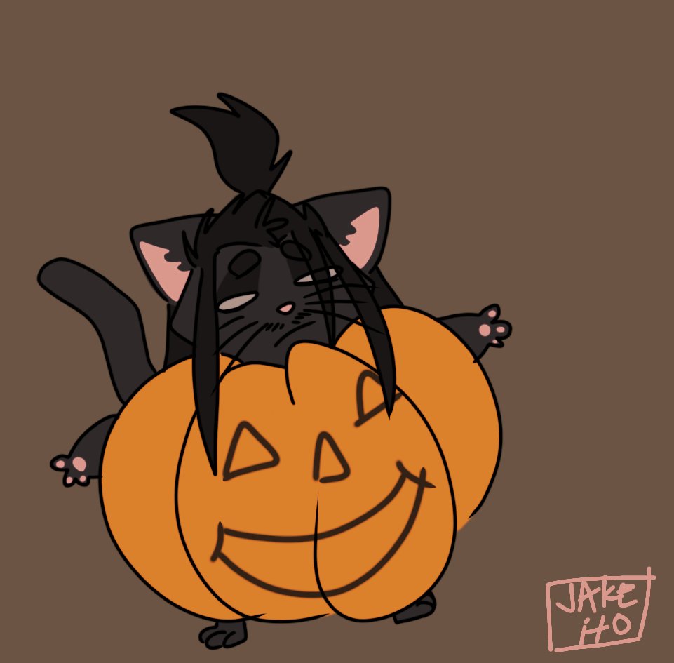 metalcows's tweet photo. Baby pumpkin idiot https://t.co/yVScBCmEKX