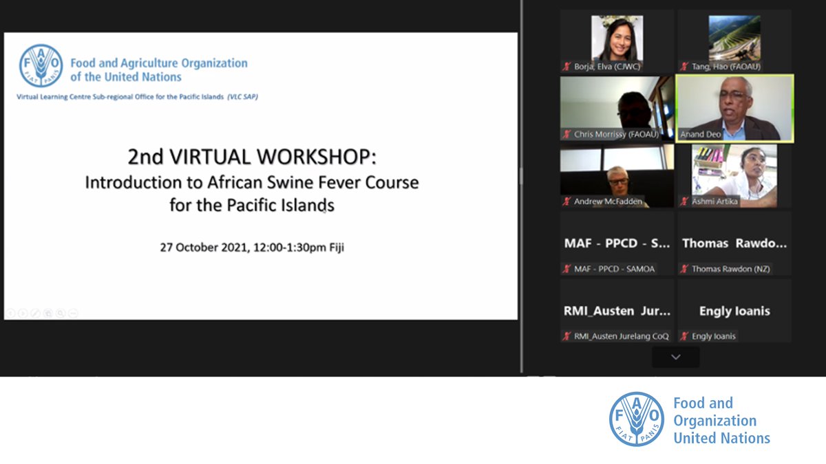 FAOAsiaPacific's tweet photo. 👨⚕️👩⚕️ 50+ animal health professionals in the Pacific islands 🌏 joined the second virtual workshop on #AfricanSwineFever 🐷. The Virtual Learning Center for Asia-Pacific team gave 👨⚕️👩⚕️ a case study 📜🔍 on #ASF risk pathway, #outbreak investigation & #emergency response. https://t.co/3eOukOnRi8