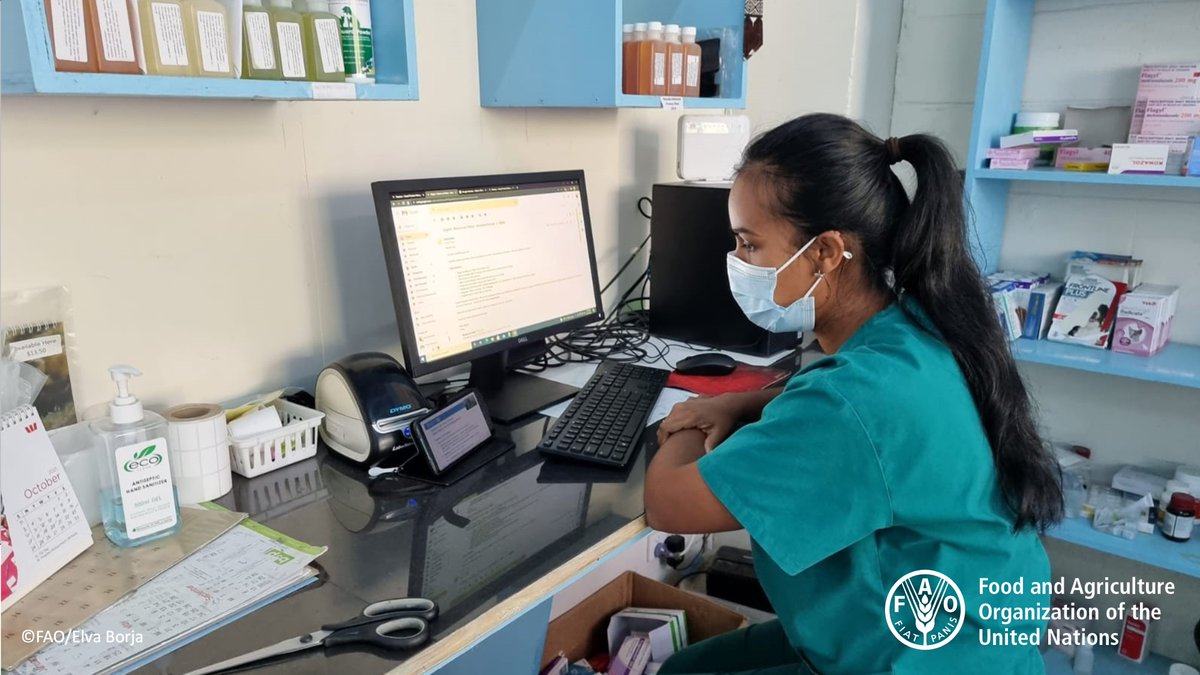 FAOAsiaPacific's tweet photo. 👨⚕️👩⚕️ 50+ animal health professionals in the Pacific islands 🌏 joined the second virtual workshop on #AfricanSwineFever 🐷. The Virtual Learning Center for Asia-Pacific team gave 👨⚕️👩⚕️ a case study 📜🔍 on #ASF risk pathway, #outbreak investigation & #emergency response. https://t.co/3eOukOnRi8