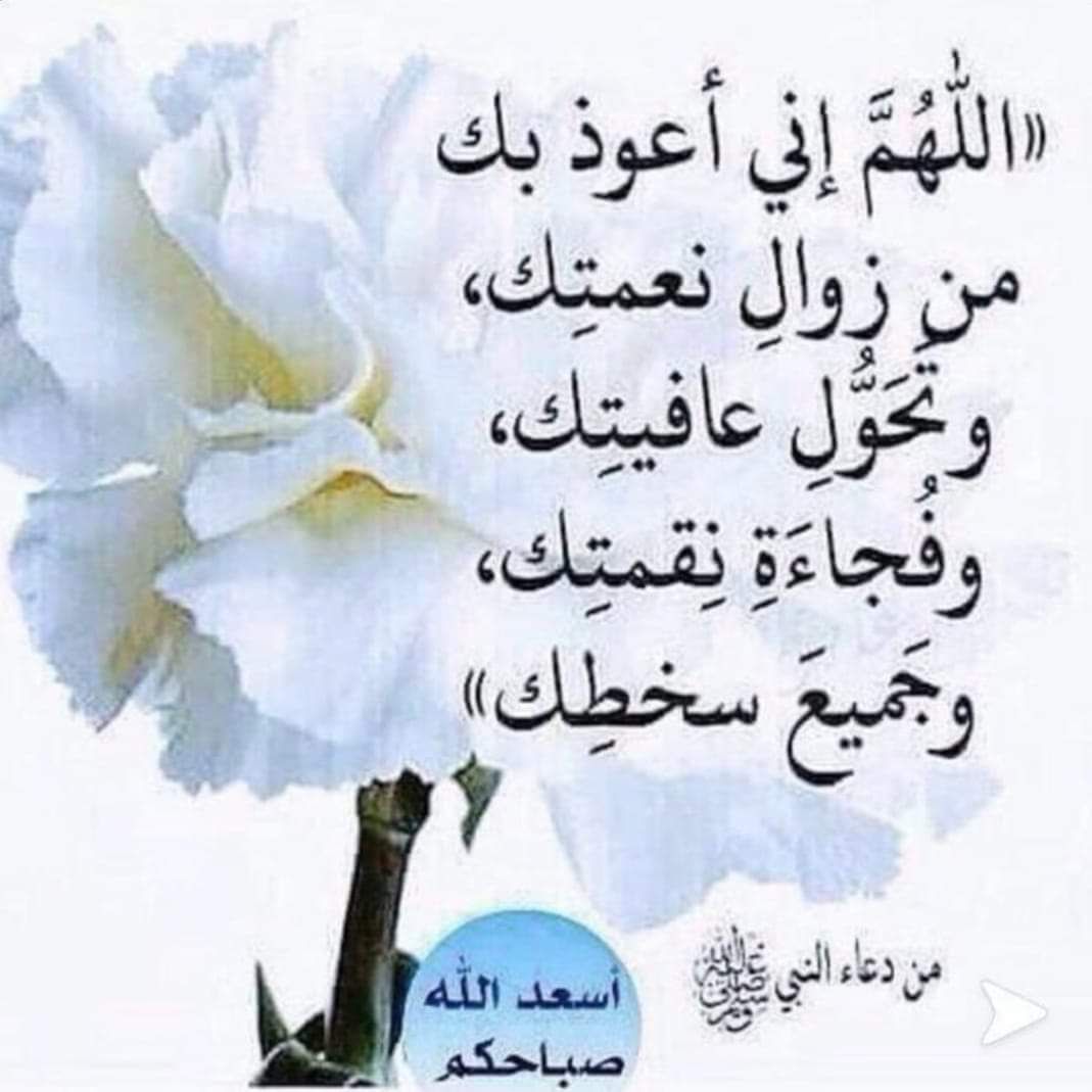 صورة من سعود العلي