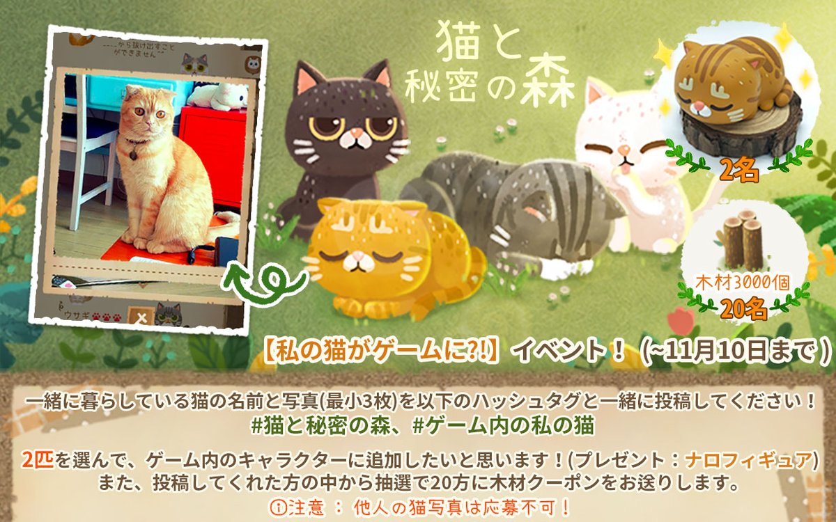 公式 猫と秘密の森 イベント 私の猫がゲームに 一緒に暮らしている猫の名前と写真 最小3枚 を以下のハッシュタグと一緒に投稿してください 猫と秘密の森 ゲーム内の私の猫 ナロフィギュア 2名 木材クーポン 名 注意 他人の猫写真は