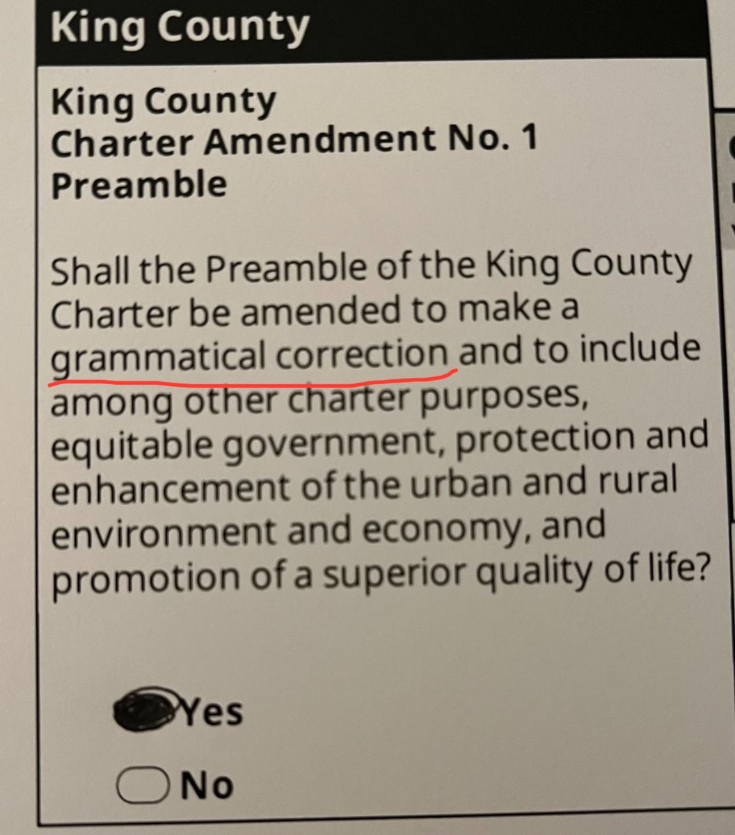 ChelseaWaliser's tweet image. Keeping the world safe for democracy out here in Seattle, voting on grammatical corrections…