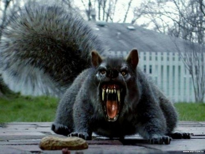 KindaSquirrelly's tweet photo. #GoingSavage

Oh, trust me. You'll know when the savagery starts. https://t.co/EzCgl7Sdrw