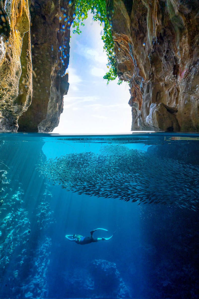 MagentaOceans's tweet photo. The best cave in Tonga!

#freediving #swallowscave
#kingdomoftonga https://t.co/o1x5LVR4vd