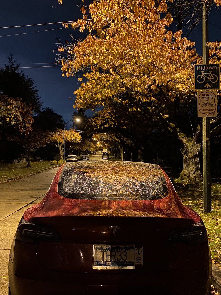 colin_hay's tweet photo. Fall leaves. Rain drops. Ultraviolet glass.
@TeslaOwnersBC #tesla #Model3 #THR33 #Vancouver https://t.co/3p9b3k6j15