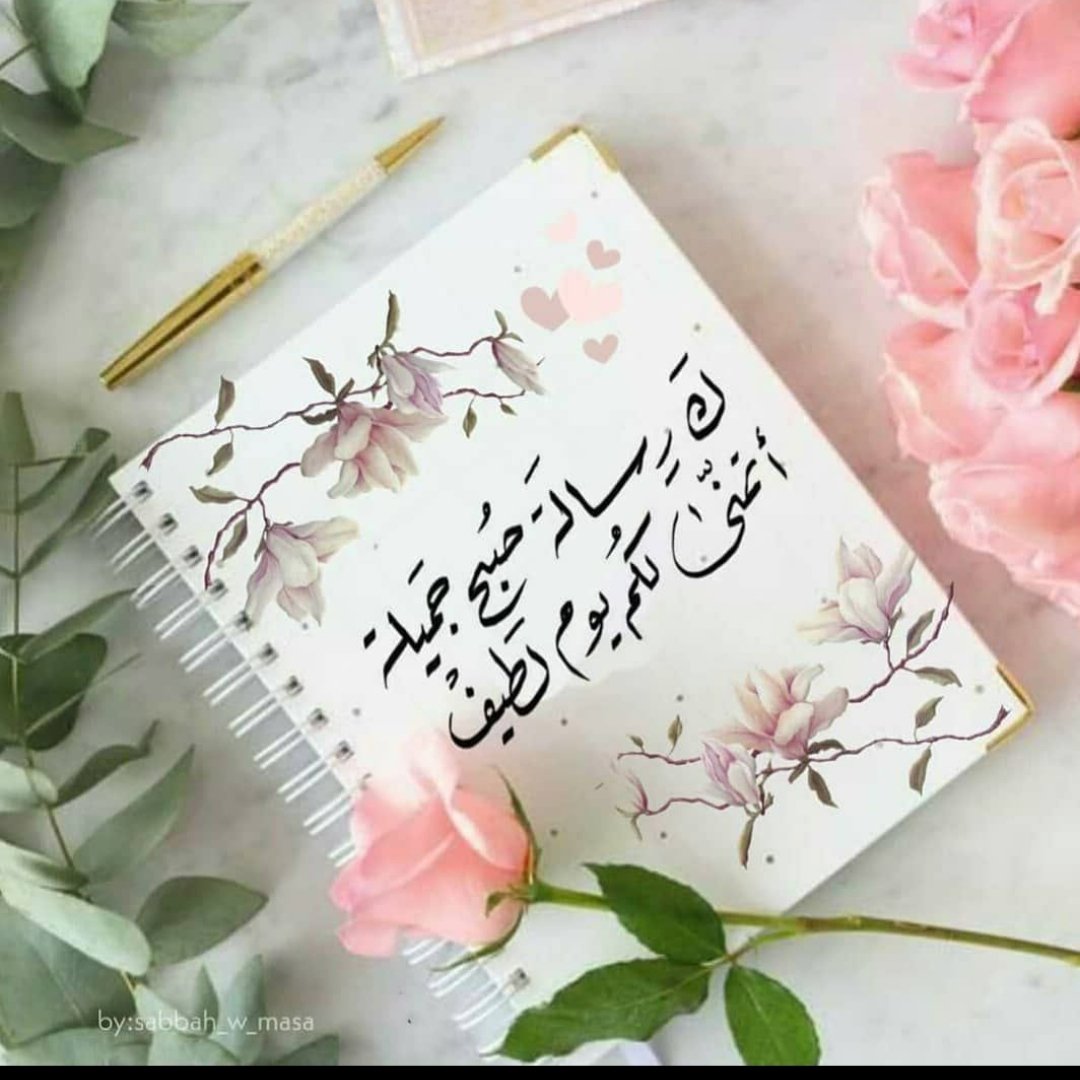 mn_m_y's tweet photo. @BetaqaDaawia https://t.co/uqXfJJPLVz