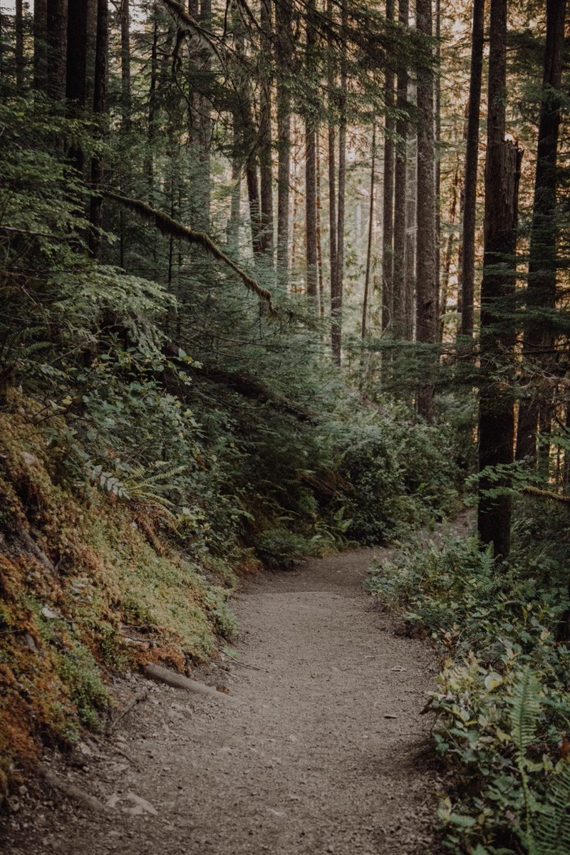 archillect's tweet image. 