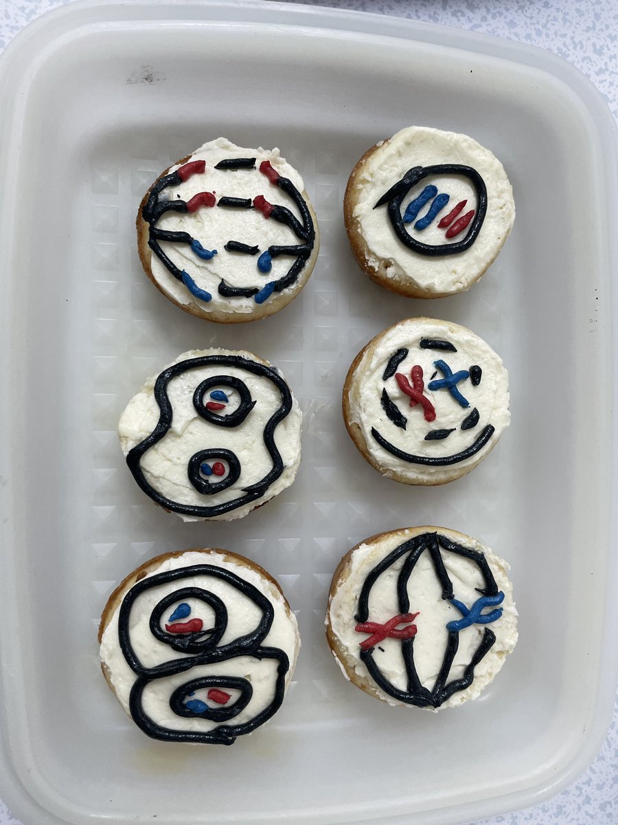 JESSScienceDept's tweet photo. Another fantastic BioArtAttack Competition submission from Ella-Rose in Y10 @RoyalSocBio Could ‘Biological baking’ be a new field of study? #JESSBiology #JESSIndependent #FutureReady https://t.co/lDLNLAws8o