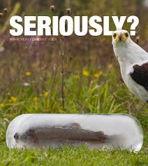 SamFrans5's tweet image. 💔💔💔💔