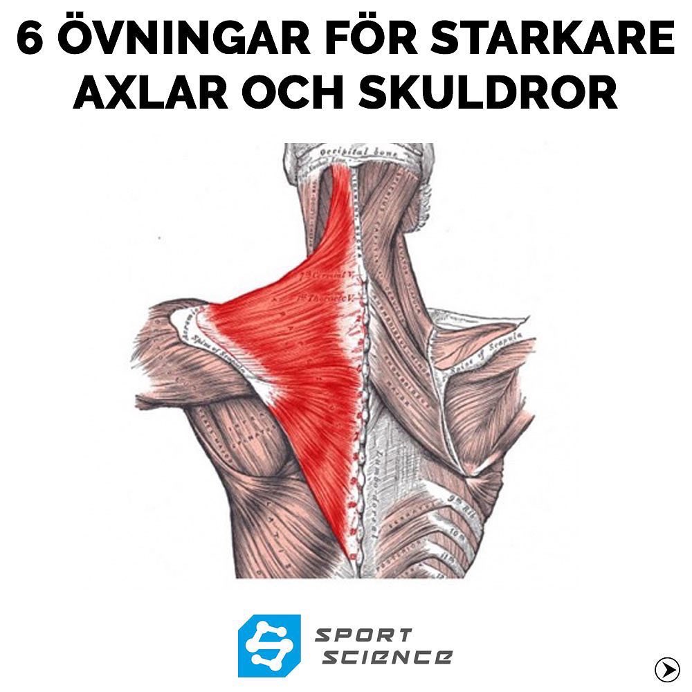 Sportscience (@sportsciencese) / Twitter