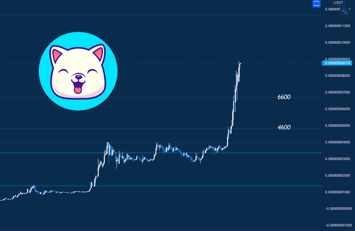 PIKA (⚡️ , ⚡️) tweet media